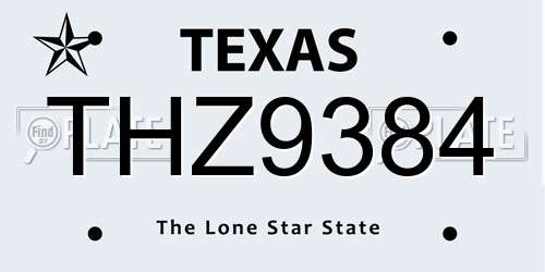 THZ9384 Texas License Plate