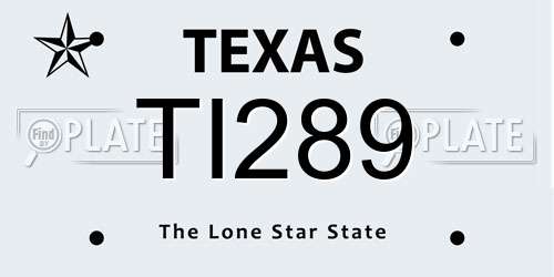 TI289 Texas License Plate