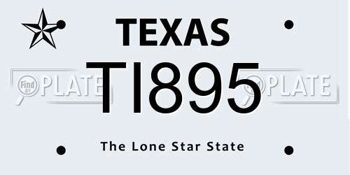 TI895 Texas License Plate