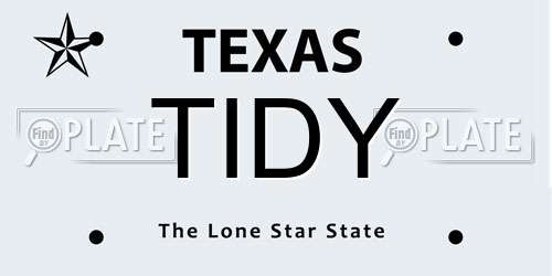 TIDY Texas License Plate