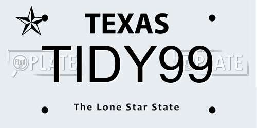 TIDY99 Texas License Plate