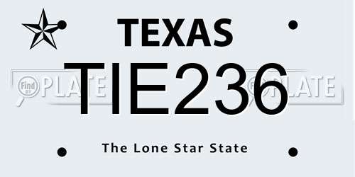 TIE236 Texas License Plate