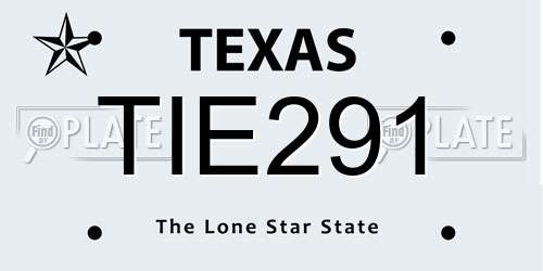 TIE291 Texas License Plate