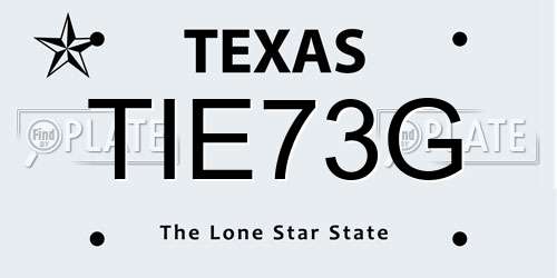 TIE73G Texas License Plate