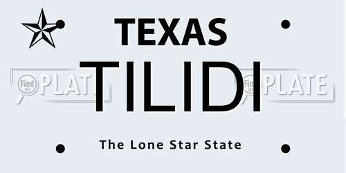 TILIDI Texas License Plate