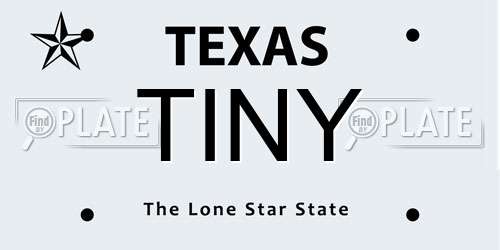TINY Texas License Plate