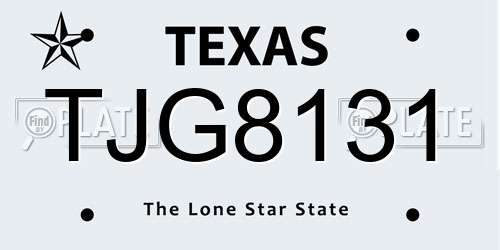 TJG8131 Texas License Plate