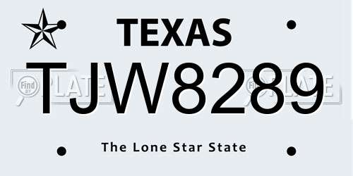 TJW8289 Texas License Plate