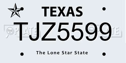TJZ5599 Texas License Plate