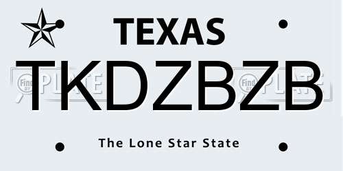 TKDZBZB Texas License Plate