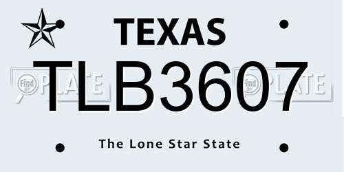 TLB3607 Texas License Plate