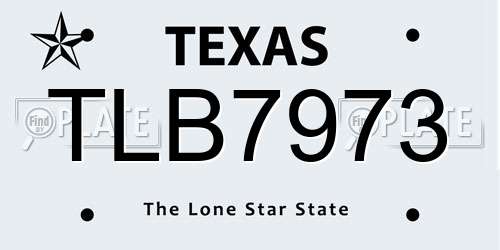 TLB7973 Texas License Plate