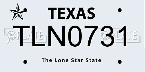 TLN0731 Texas License Plate