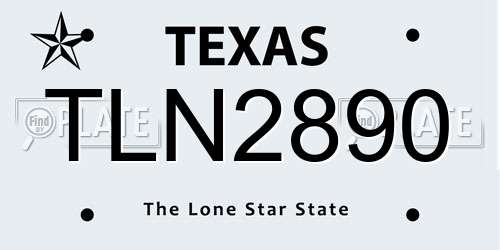 TLN2890 Texas License Plate