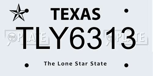 TLY6313 Texas License Plate
