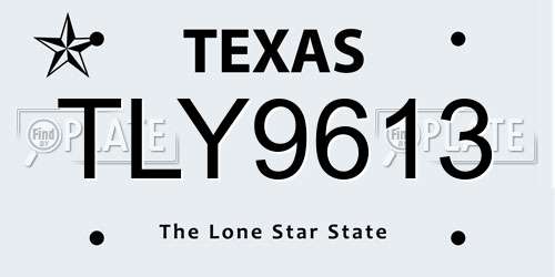 TLY9613 Texas License Plate