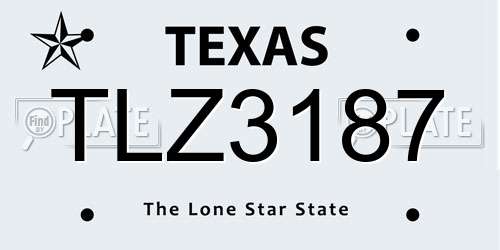 TLZ3187 Texas License Plate