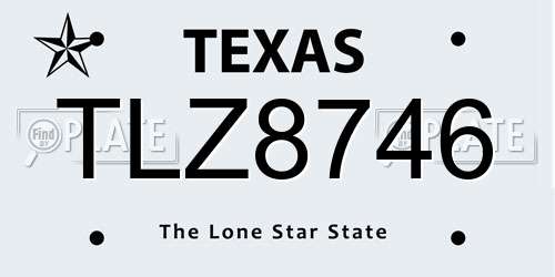 TLZ8746 Texas License Plate
