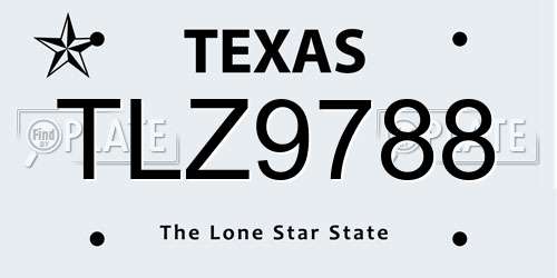 TLZ9788 Texas License Plate