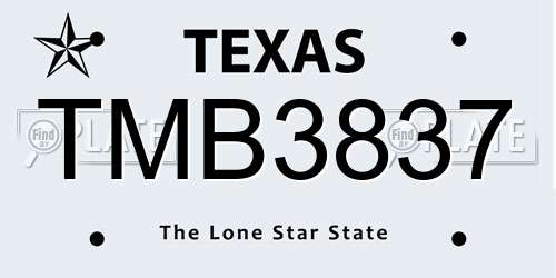 TMB3837 Texas License Plate