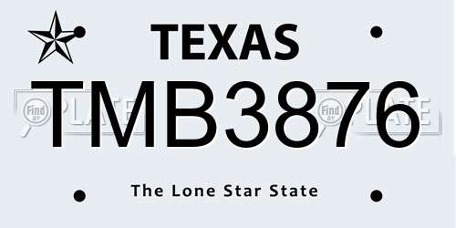 TMB3876 Texas License Plate