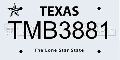 TMB3881 Texas License Plate
