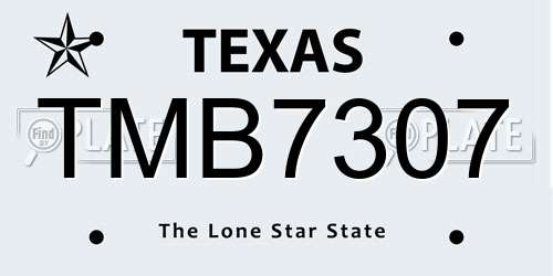 TMB7307 Texas License Plate