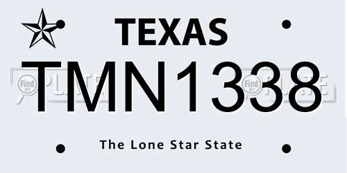 TMN1338 Texas License Plate