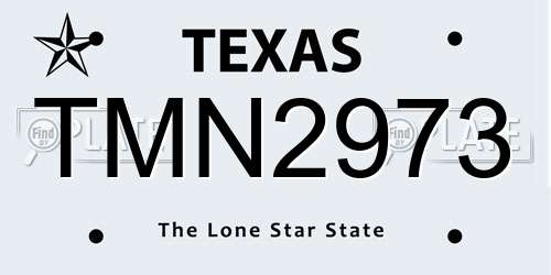 TMN2973 Texas License Plate