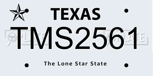 TMS2561 Texas License Plate