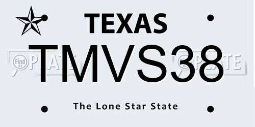 TMVS38 Texas License Plate