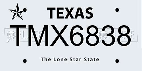 TMX6838 Texas License Plate