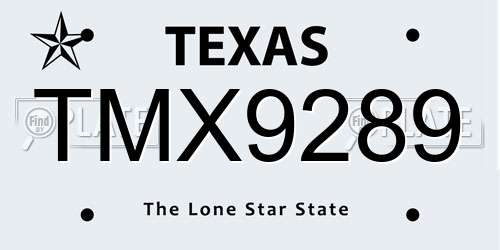 TMX9289 Texas License Plate