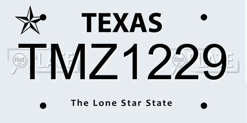 TMZ1229 Texas License Plate