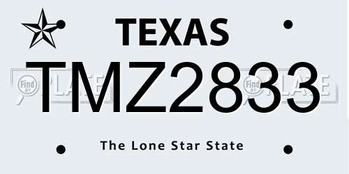 TMZ2833 Texas License Plate