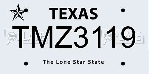 TMZ3119 Texas License Plate