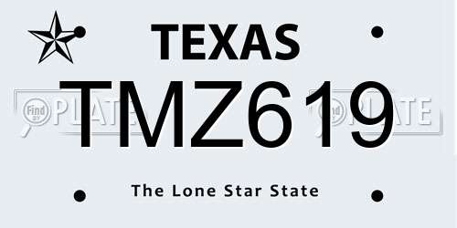 TMZ619 Texas License Plate