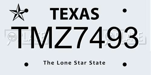 TMZ7493 Texas License Plate