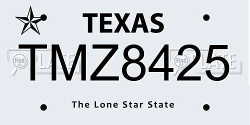 TMZ8425 Texas License Plate