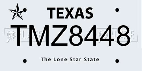 TMZ8448 Texas License Plate