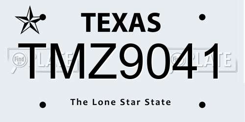 TMZ9041 Texas License Plate