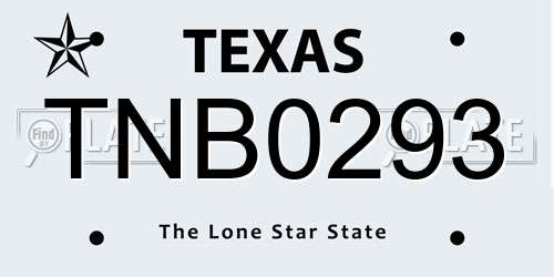 TNB0293 Texas License Plate