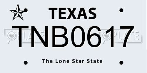 TNB0617 Texas License Plate