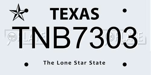 TNB7303 Texas License Plate