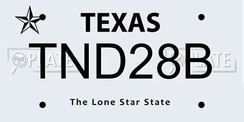 TND28B Texas License Plate