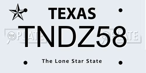TNDZ58 Texas License Plate