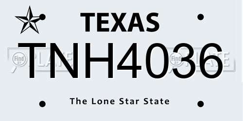 TNH4036 Texas License Plate