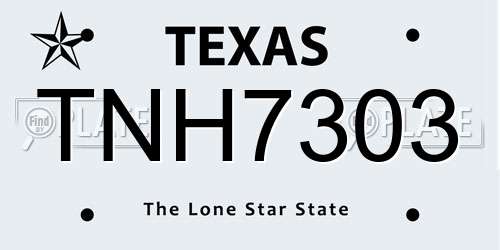TNH7303 Texas License Plate