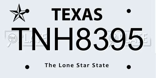 TNH8395 Texas License Plate