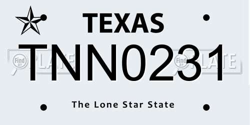 TNN0231 Texas License Plate